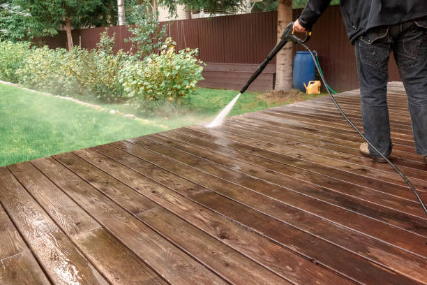 Best Roof Cleaning and Mildew Removal in Josephine, TX
